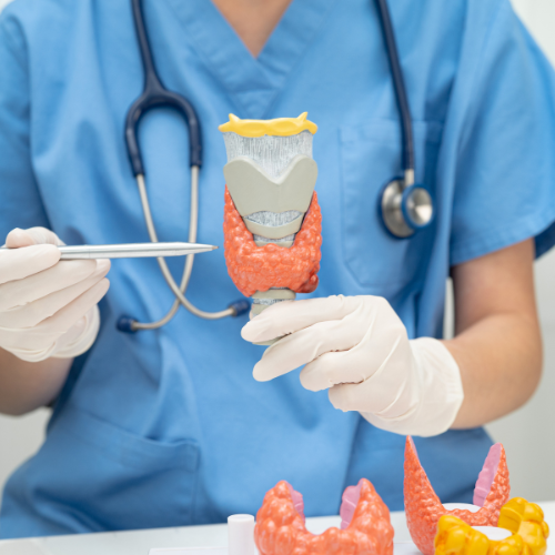 Close-up of a person's throat and vocal area